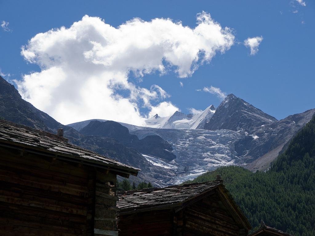 Chalet Soldanella Grächen Εξωτερικό φωτογραφία