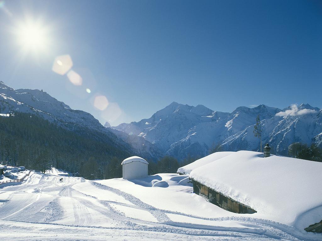Chalet Soldanella Grächen Εξωτερικό φωτογραφία