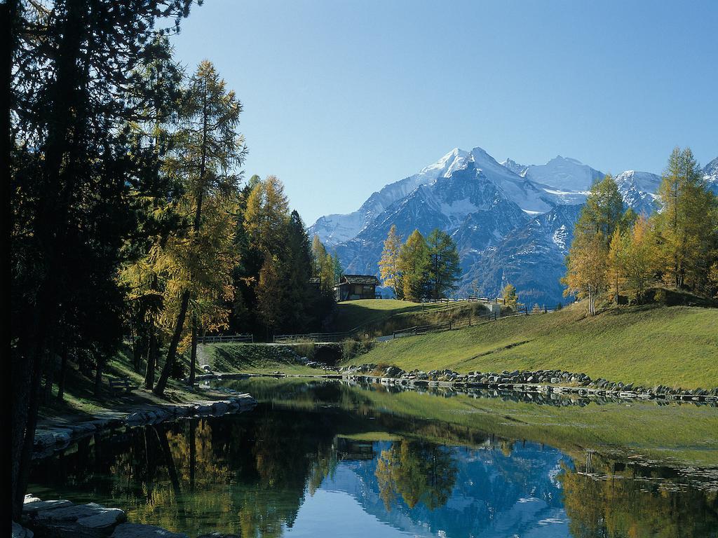 Chalet Soldanella Grächen Εξωτερικό φωτογραφία