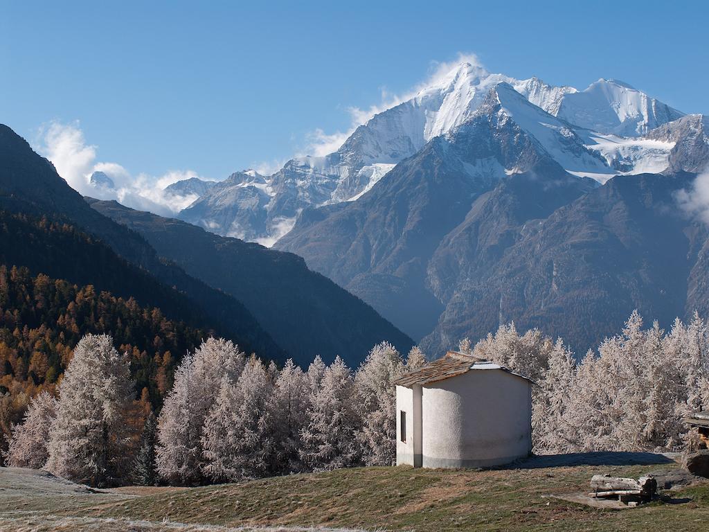Chalet Soldanella Grächen Εξωτερικό φωτογραφία